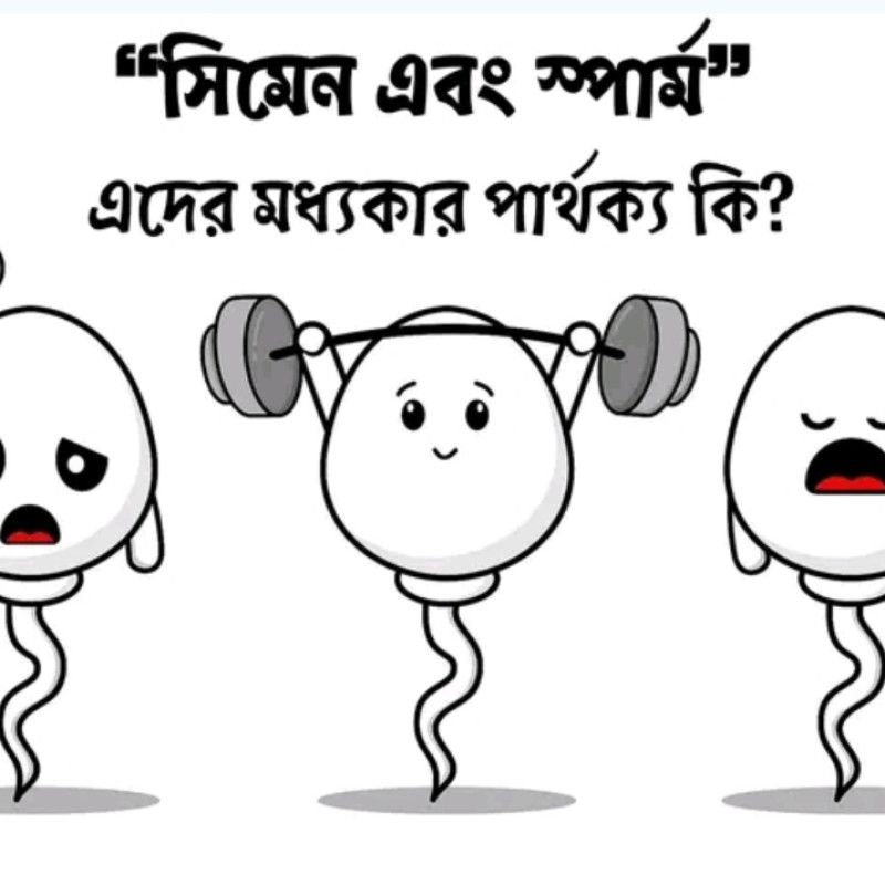 সিমেন(বীর্য) ও স্পার্ম(শুক্রাণু) কি সত্যিই এক রকম নয়?